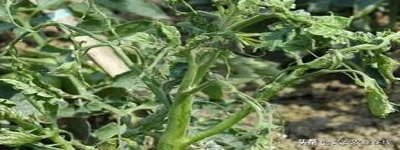 悬浮剂泡沫多，悬浮剂消泡剂能解决泡沫吗？