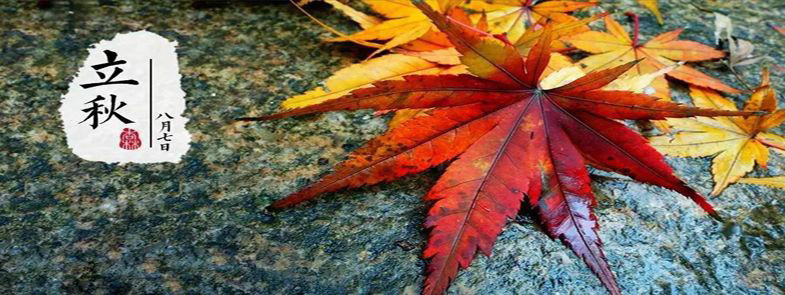 一枕新凉迎立秋