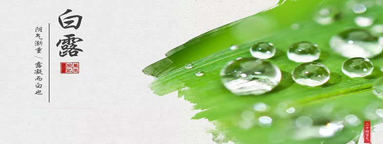 露从今夜白，夜自此日凉