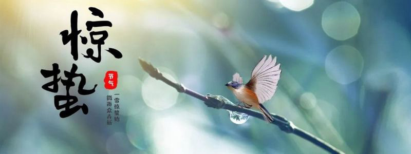 微雨众卉新，一雷惊蛰始