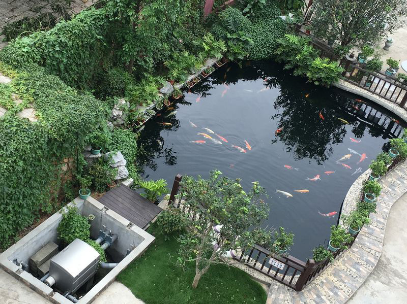 景观池泡沫什么情况，怎么处理景观池泡沫？